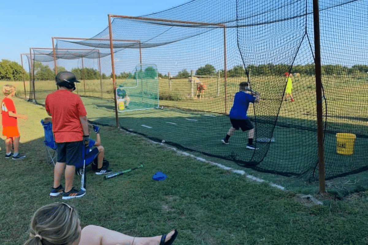 Young players taking batting practice together at a backyard cage