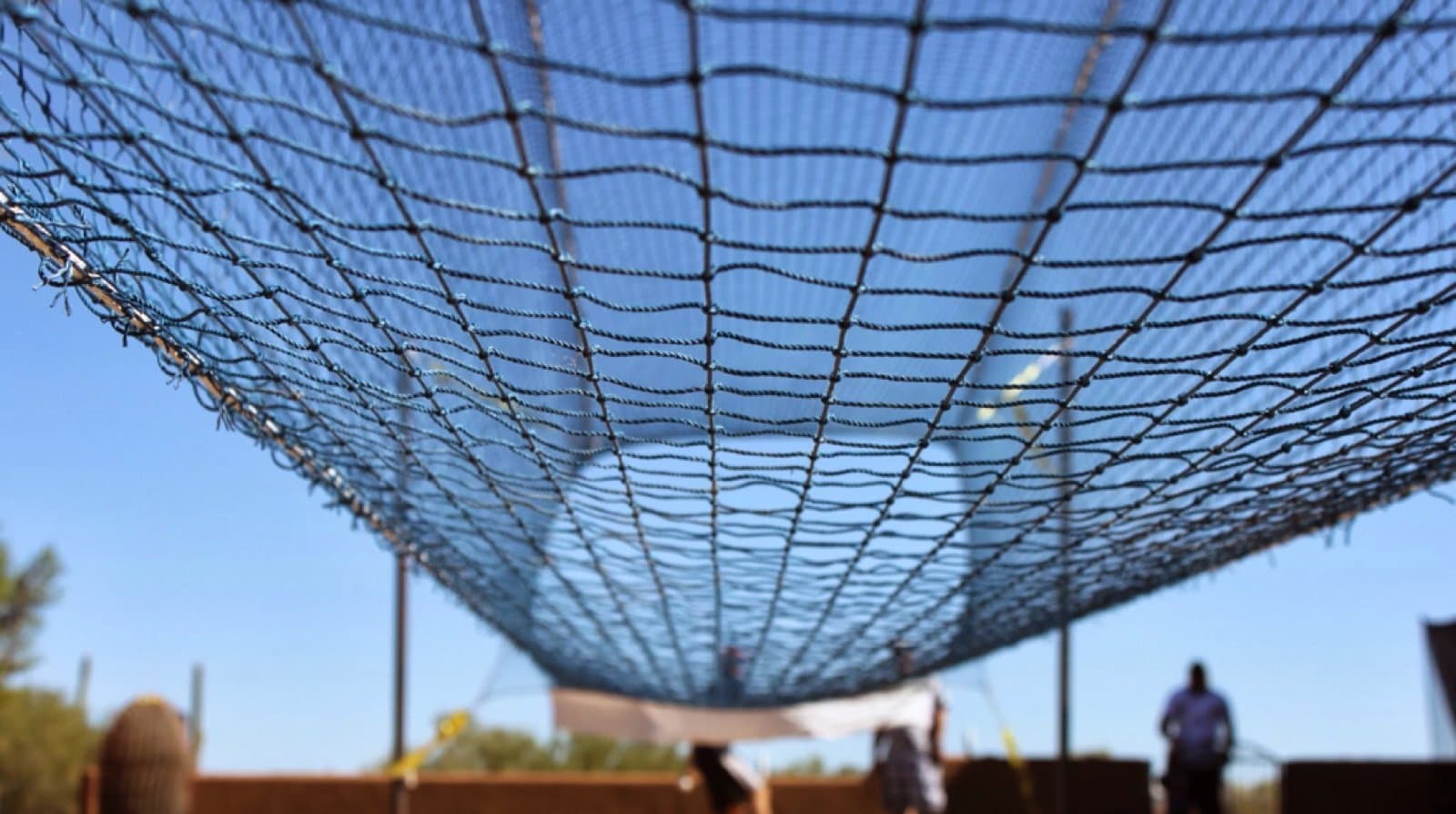 Looking up through the netting of an outdoor batting cage with players training in the background