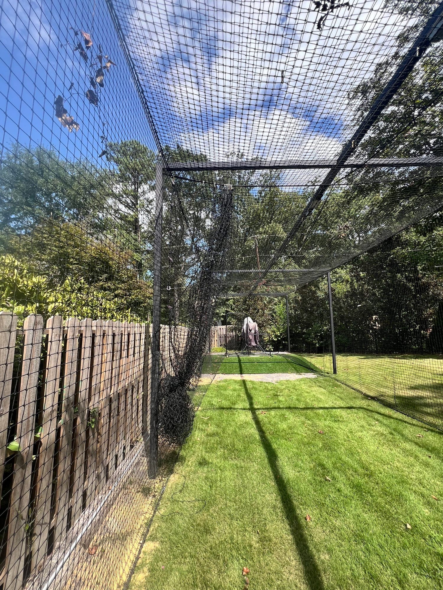 Looking along a tall netted frame over a grass lane beside a wood fence, blue sky above