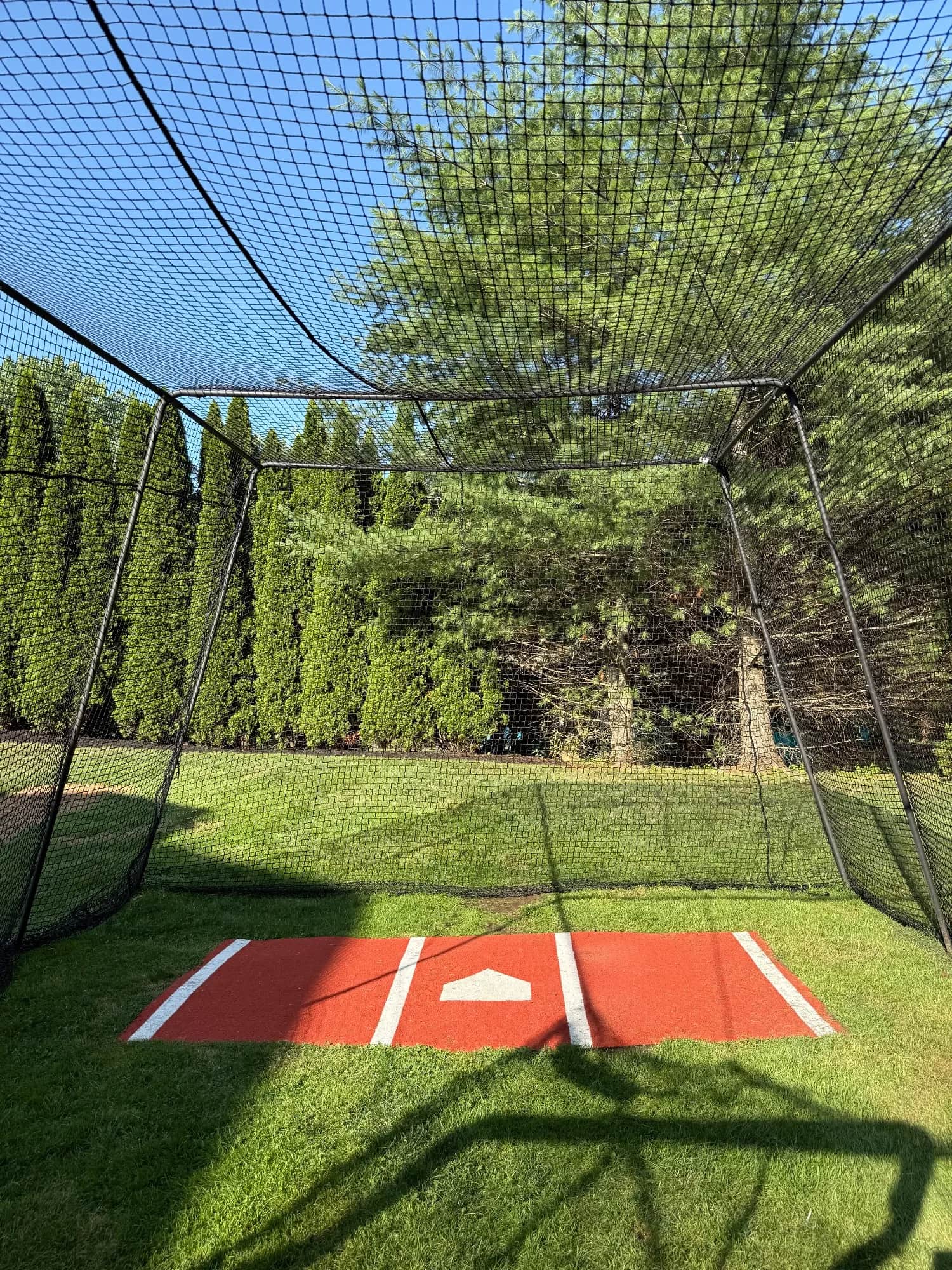 Natural Grass Batting Cage in Middleton - photo 3