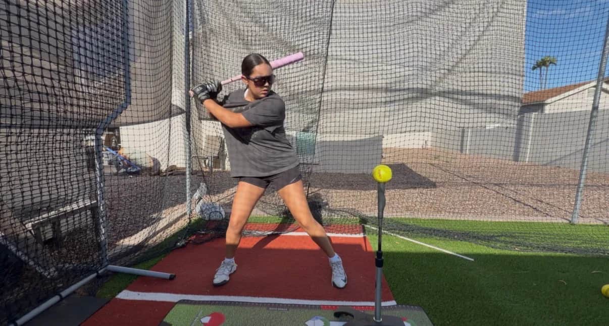 30x12 Batting Cage - photo 2