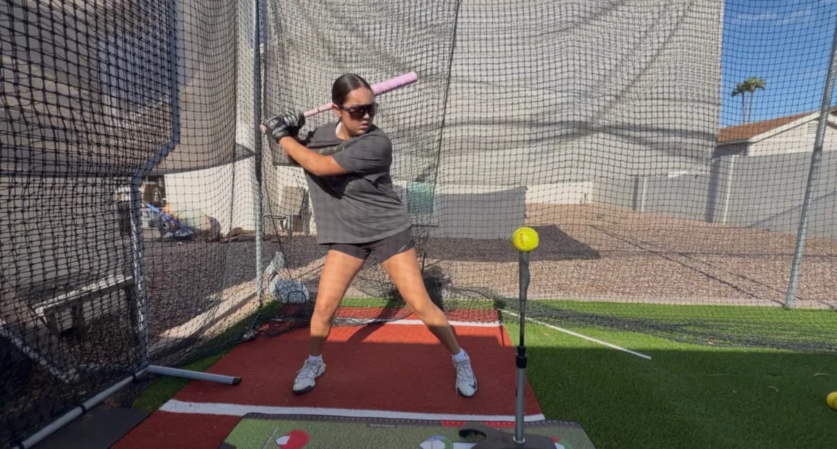 30x12 Batting Cage - photo 2