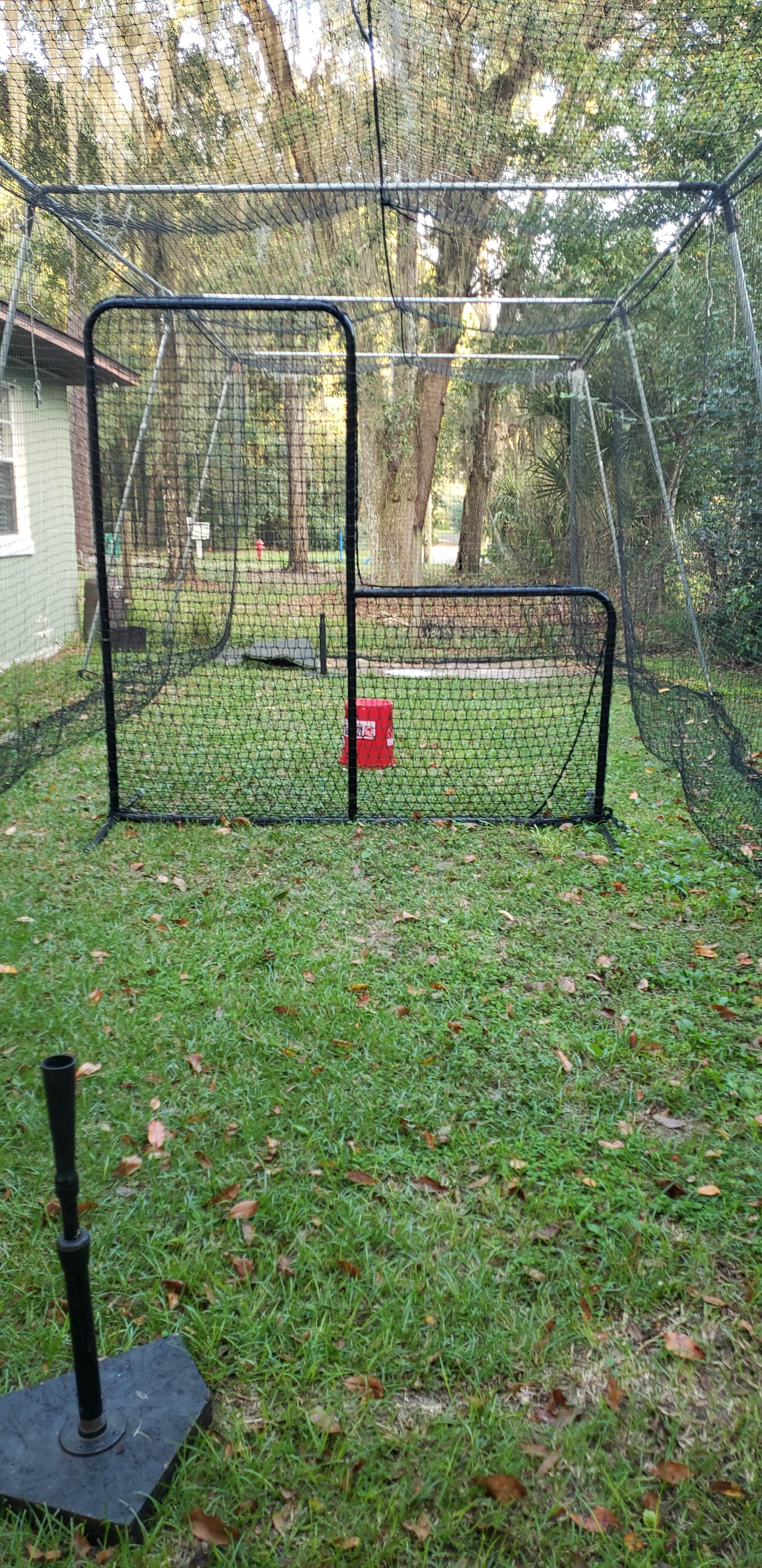 Batting cage with L Screen Turf and Balls in Lake Helen, FL
