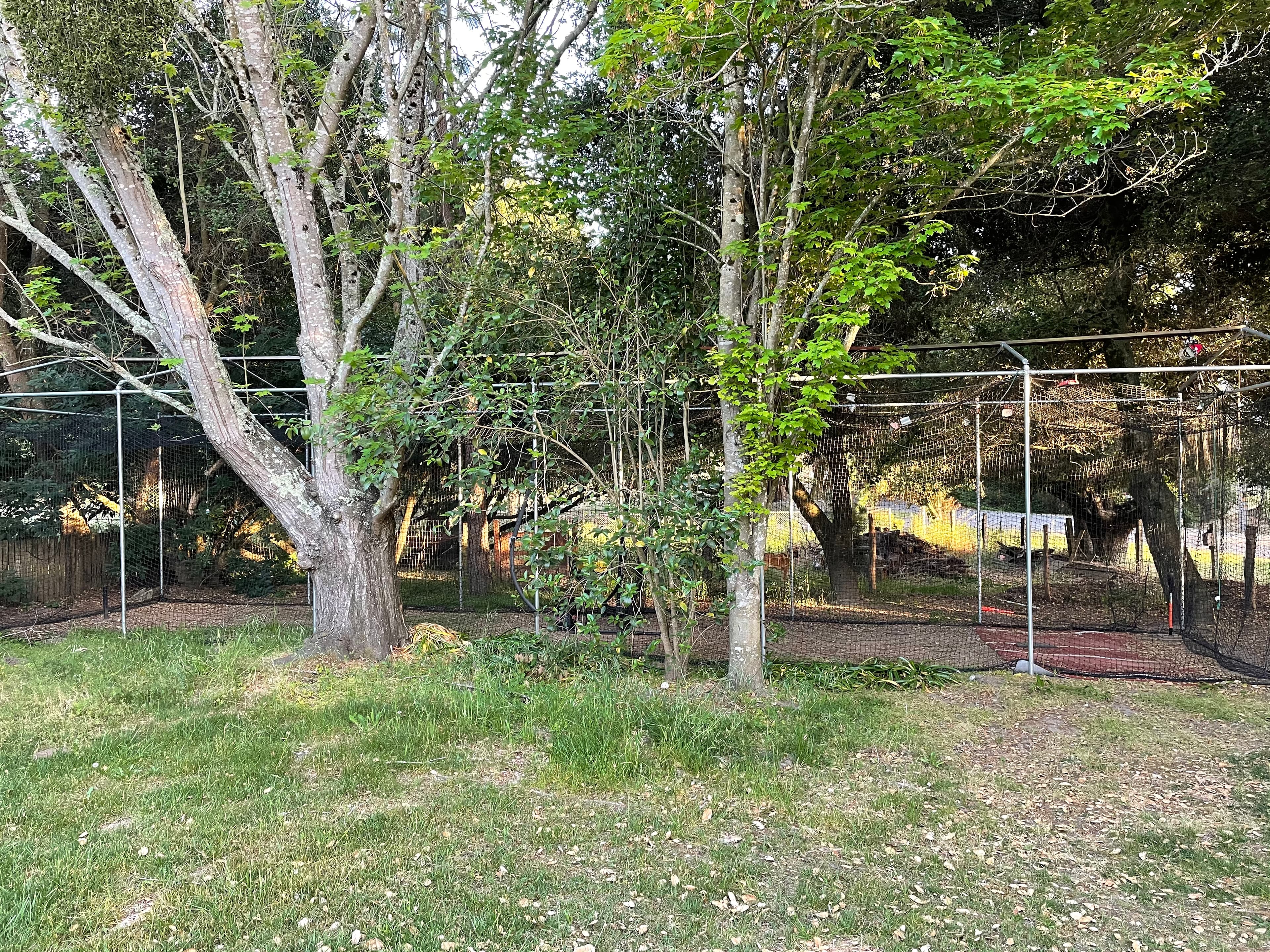 Outdoor-Uncovered in Cotati, Cotati - View 2