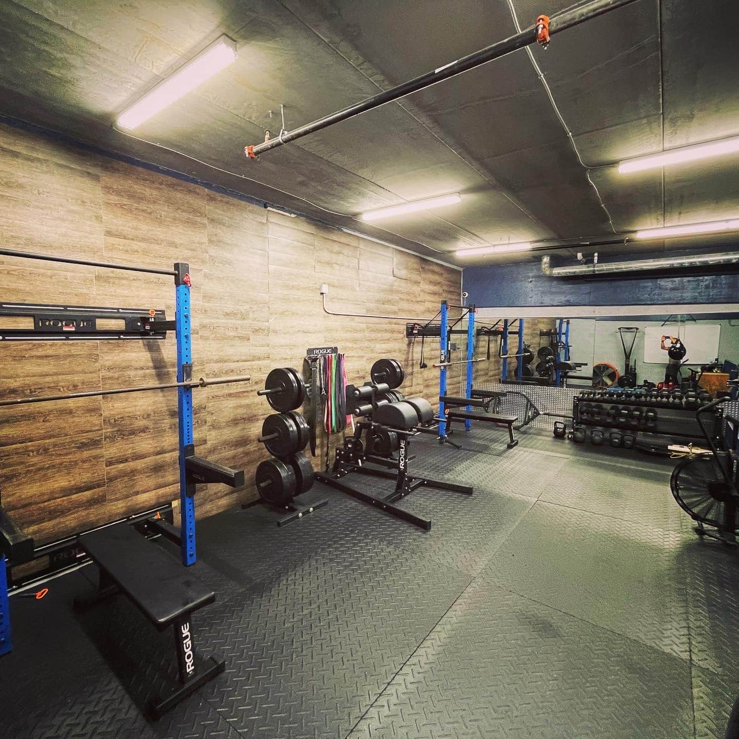 SwingLAB - photo 4