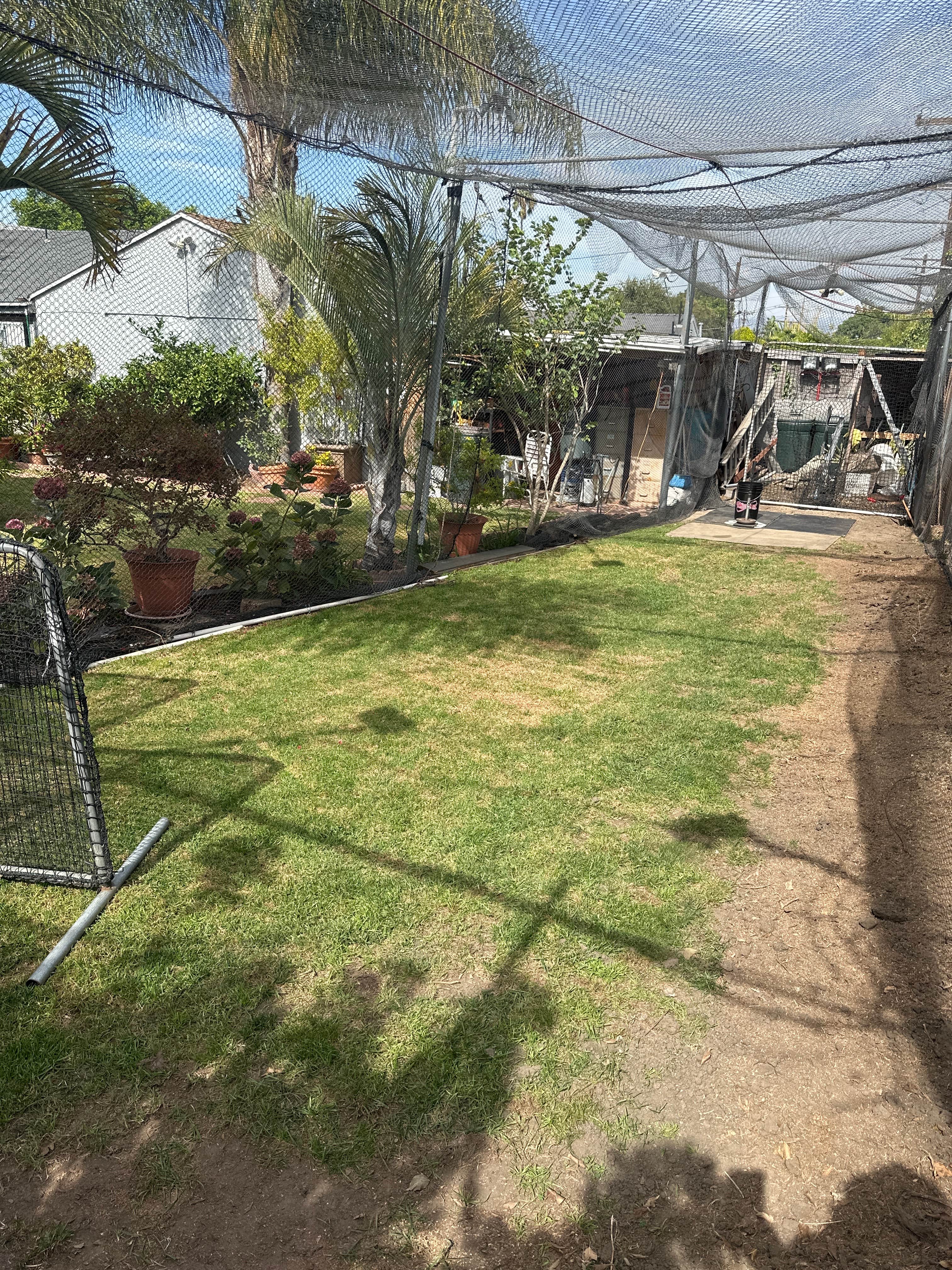 Batting Catch with L- screen and bucket of balls in Los Angeles, CA photo 2