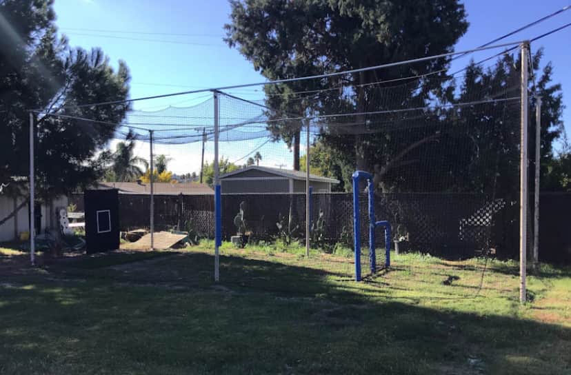 Home of the The Spartan Batting Cage est. in Santa Clarita, CA - photo 3