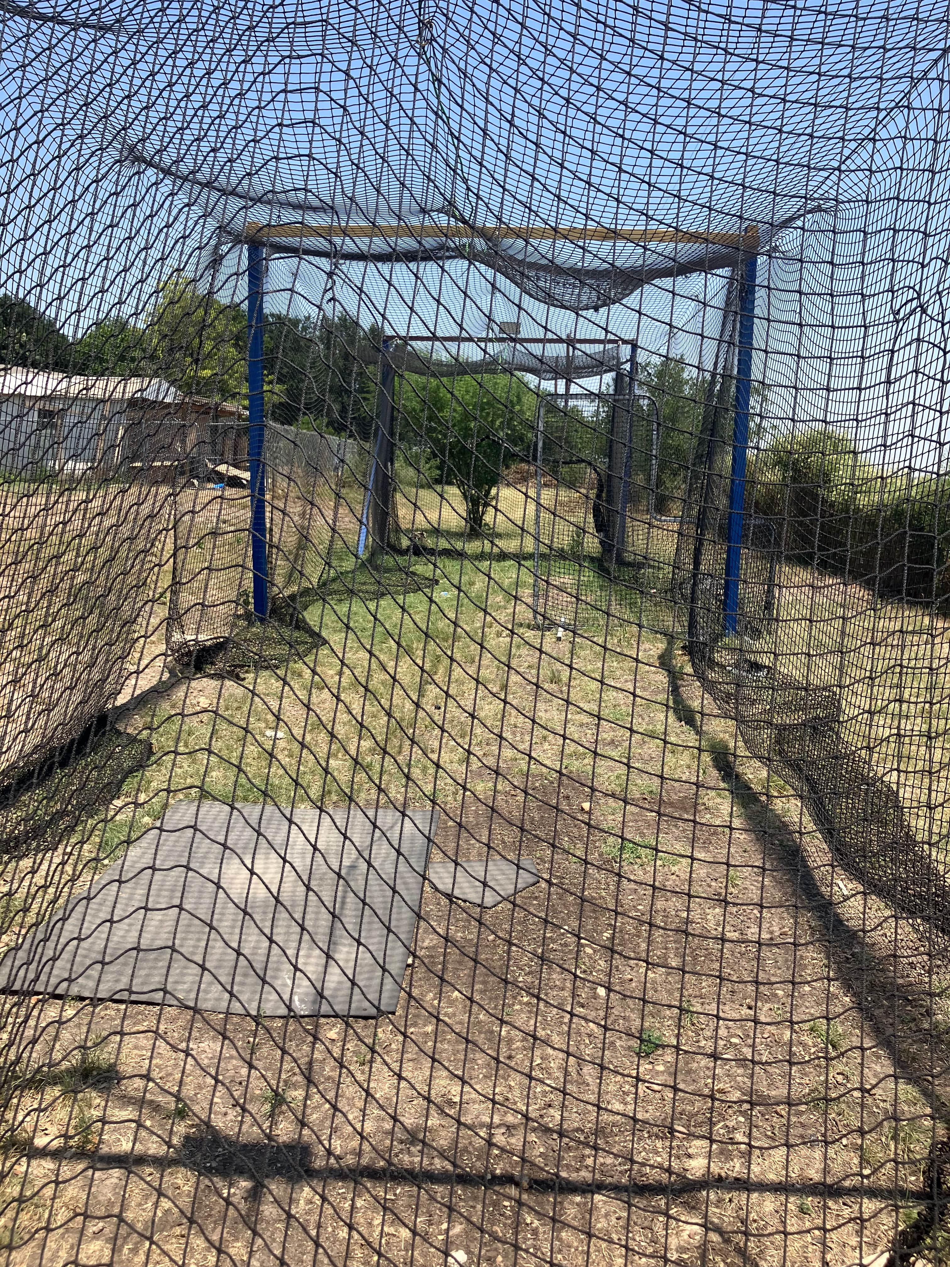 Backyard cage