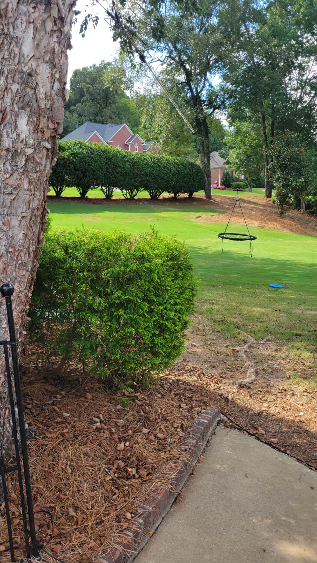 Batting Cage with Pitching Machine & Many Extras! in Pelham, AL photo 2