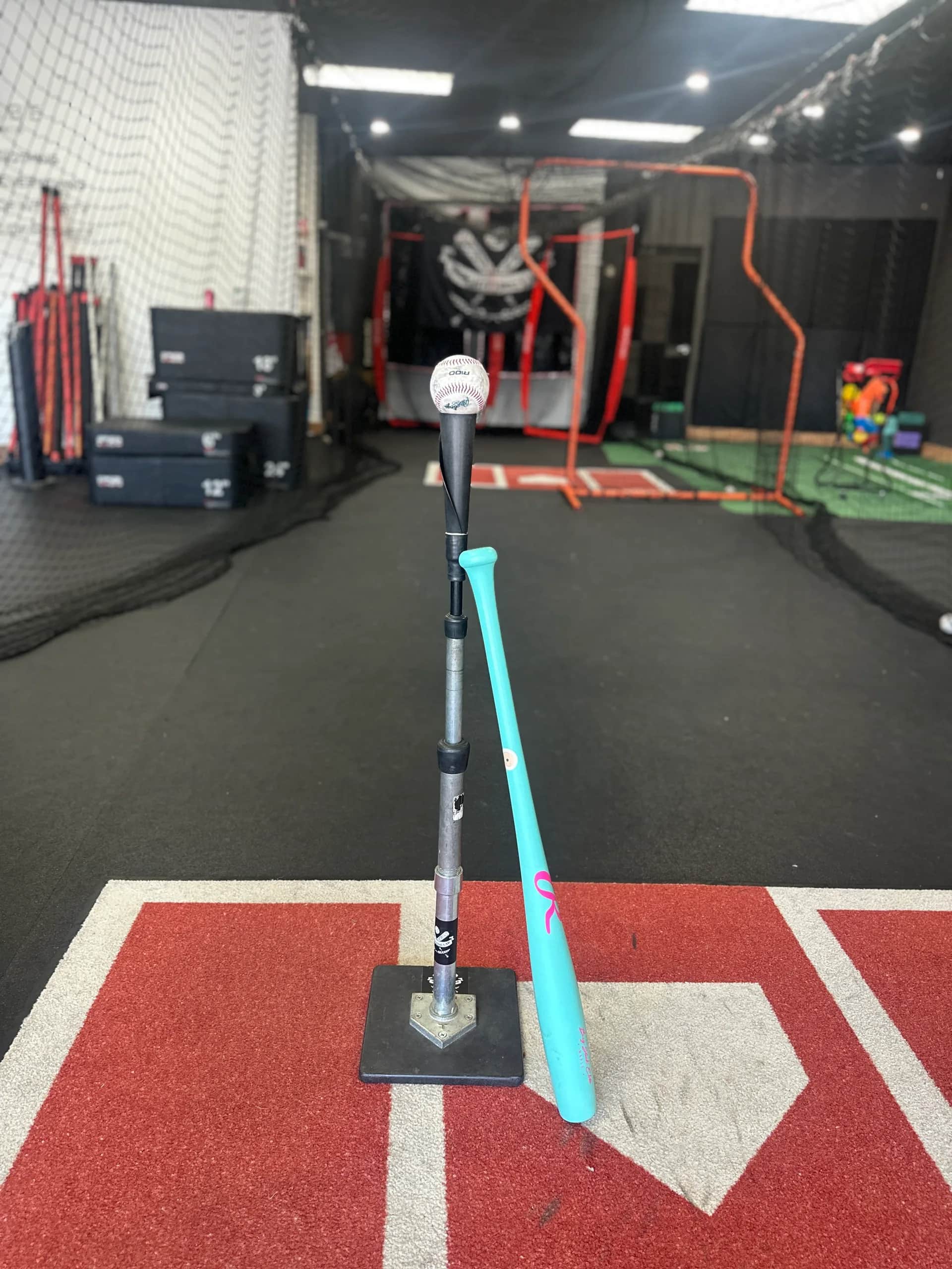 Batting Cage Santa Clarita, CA - photo 3