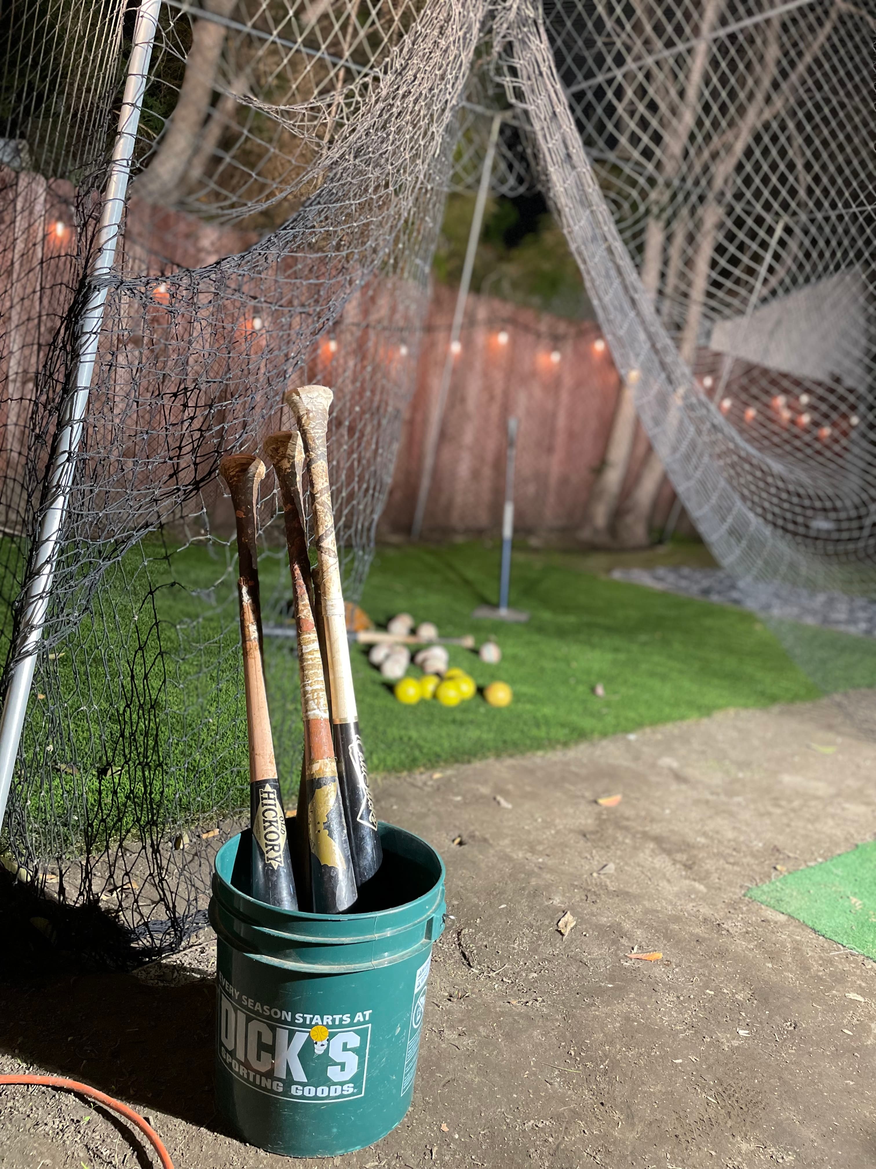 South LA Batting Cage in Los Angeles, CA - photo 3