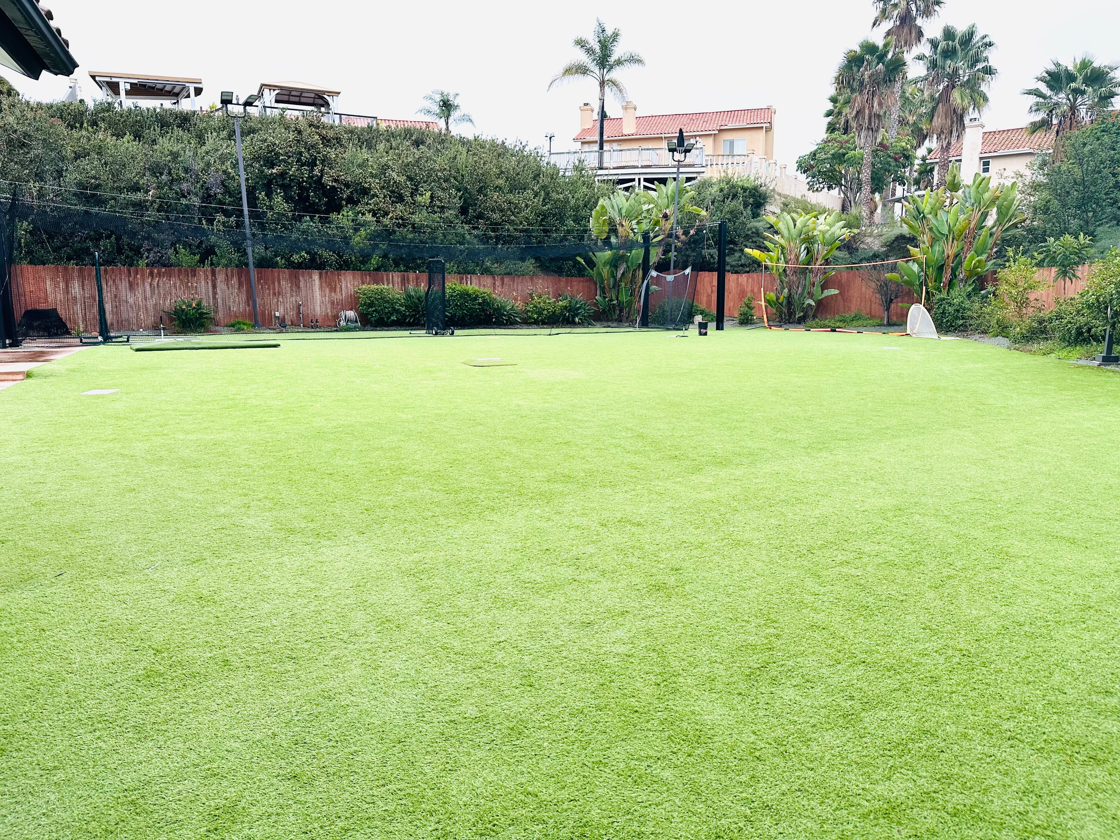 Huge Batting Cage + Large Turf Area in Bonita, CA - photo 4