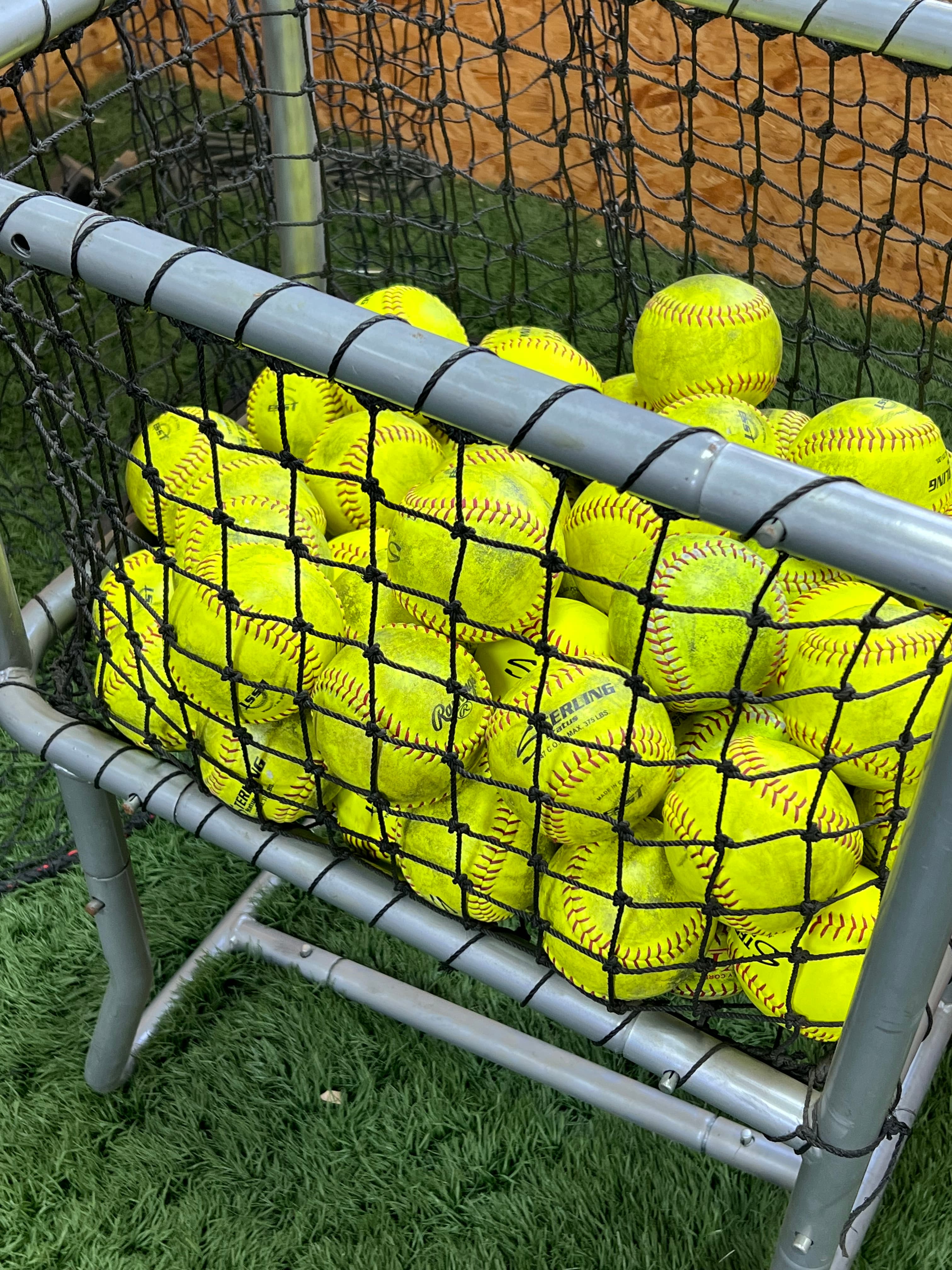Indoor batting cage with turf in Grand Prairie, TX - photo 2